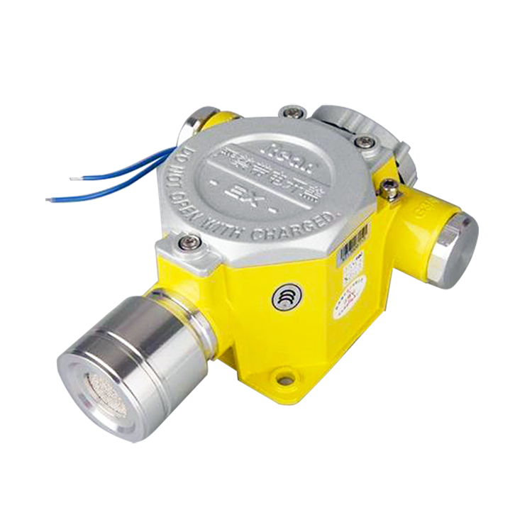 RBT-6000-ZLGM气体探测器