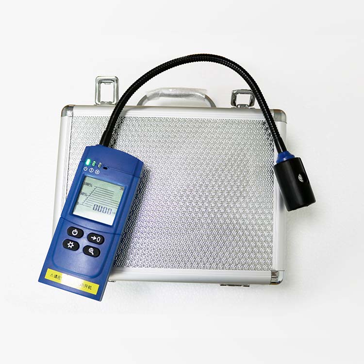 RBBJ-T20型双传感器气体检测仪